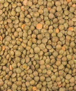 Berglinsen braun bio (Gourmet)