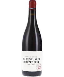 Marienthaler Trotzenberg 2022